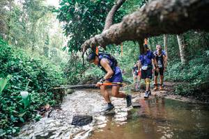 BIB: 
                            <button type="button" onclick="openModal(25369250)" class="btn btn-primary btn-sm float-right btn-popup" data-toggle="modal" data-target=".modal-high-quality">
                        <i class="fas fa-shopping-cart"></i> Add to Cart
                    </button>
                                            <button type="button" onclick="isThisMe(25369250, true)" class="btn btn-success btn-sm float-right btn-popup btn-isme hidden" data-toggle="tooltip" data-placement="bottom" title="นี่คือรูปของคุณใช่ไหม คลิกที่นี่เพื่อเอาเข้าอัลบั้ม">
                        <i class="fas fa-plus"></i> Add to album
                    </button>
                    <button type="button" onclick="isThisMe(25369250, false)" class="btn btn-warning btn-sm float-right btn-popup btn-isnotme hidden">
                        <i class="fas fa-ban"></i> Remove from album
                    </button>